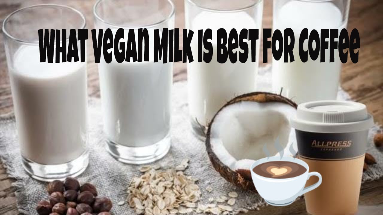 GoEasyGoVegan What Vegan Milk Is Best For Coffee (Milk Substitute and
