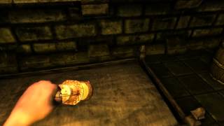 Amnesia: Co-Op cu FuMs