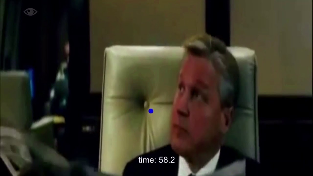 [VisualCamp] Gaze Analysis_Movie PPL Demo