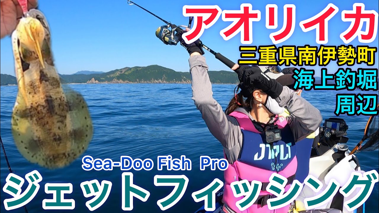 釣り】海上釣堀周辺の海にクロマグロ！？三重県南伊勢町でアオリイカを