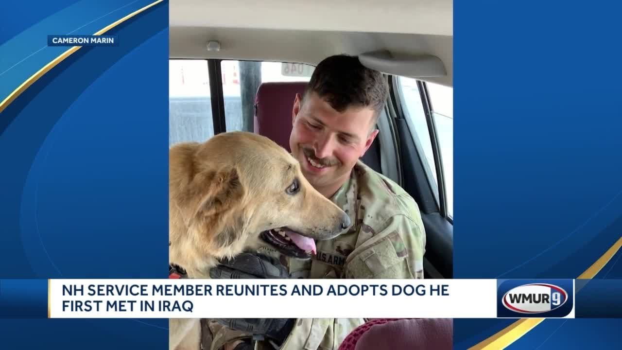 NH service member reunites and adopts dog met in Iraq - YouTube