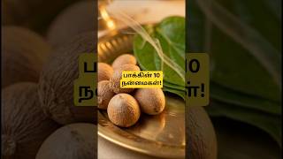 கொட்டைப் பாக்கின் 10 அற்புத நன்மைகள் | 10 Amazing Health Benefits of Areca Nut | Tamil Health Facts!