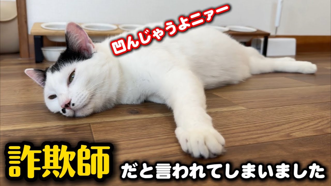♡にゃんこママ様♪ The day the person who requested protection called me a scammer