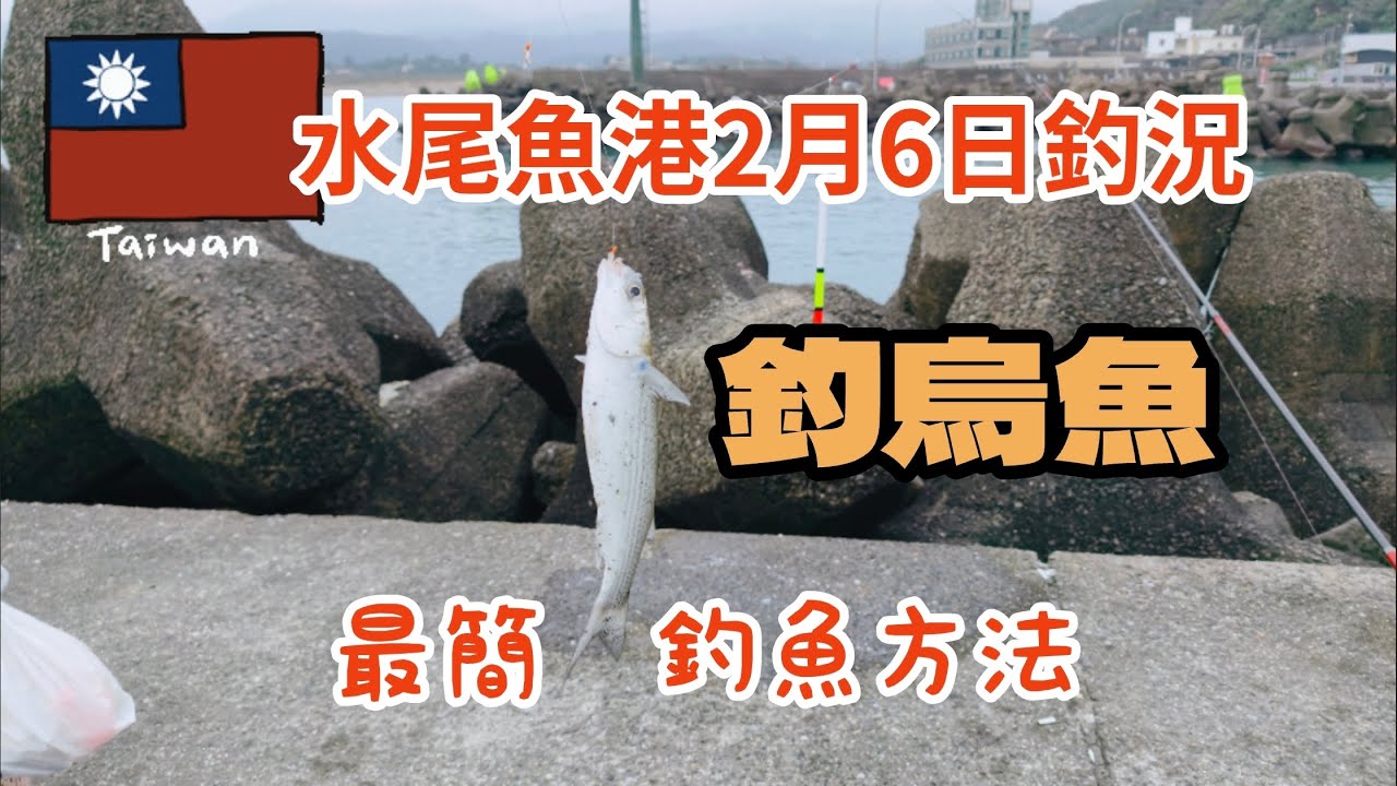 台灣釣魚樂（116）水尾漁港2月6日最新釣況釣烏魚最簡單釣魚方法#釣魚