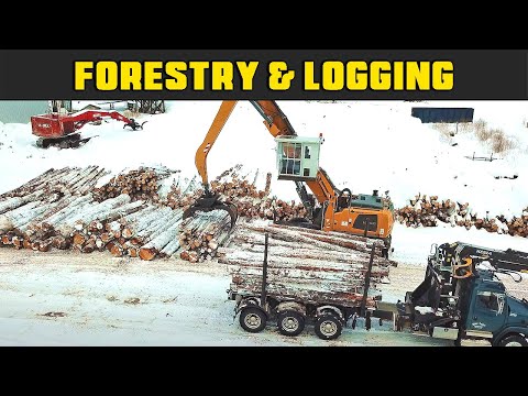 Liebherr LH-50 Unloading Trucks - Real Life Forestry & Logging - FDR Logging