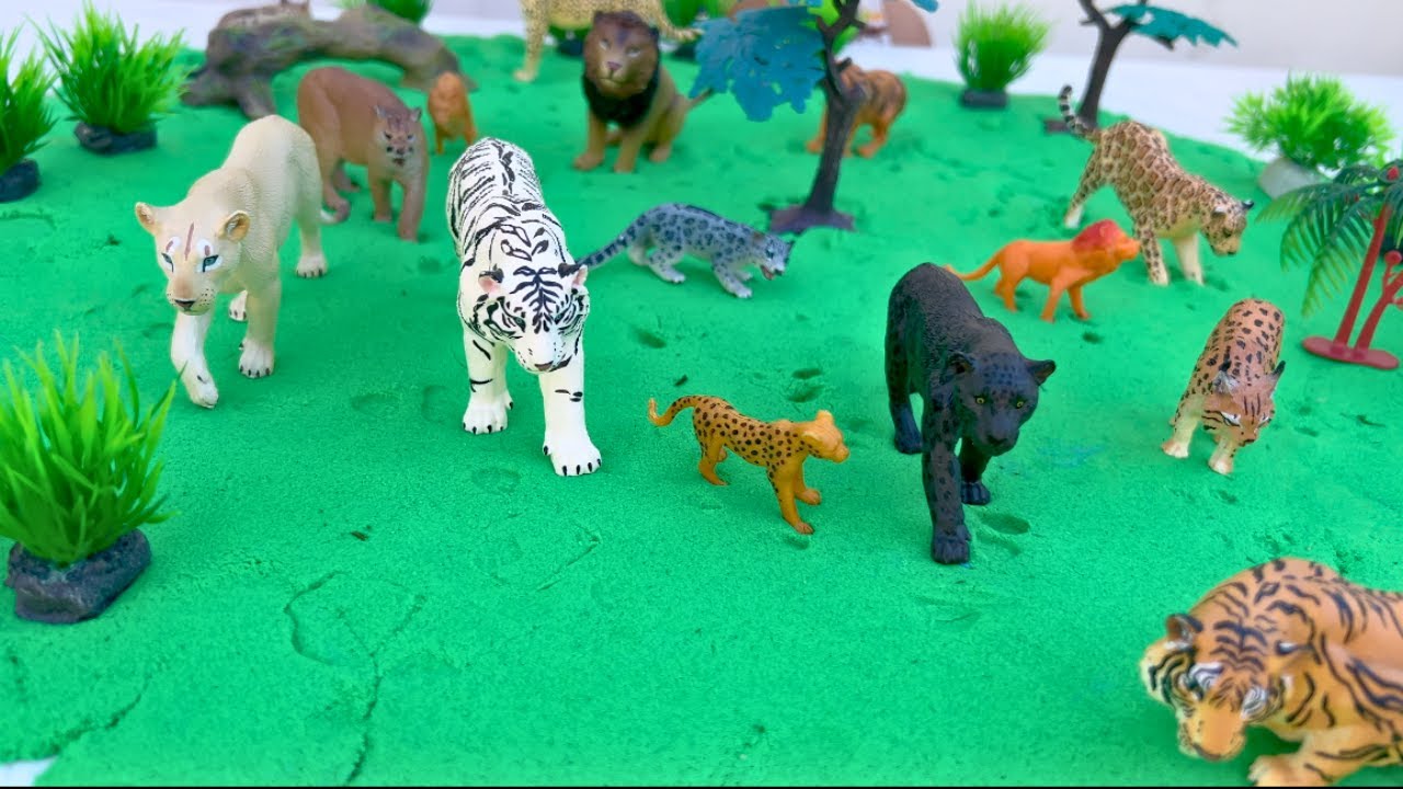 Dangerous Animals Play set Lions Tigers , Cheetah, Jaguar