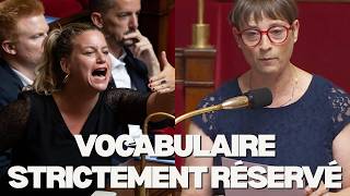 "YOU are the fascists!": LFI's favorite word turned against them!