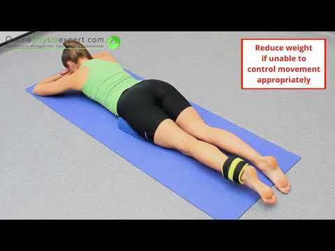 Prone hip extension strength ankle weight 4 L