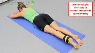 Prone hip extension strength ankle weight 4 L