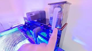 AquaReady HF M Filtration System  Aquamaxx Skimmer