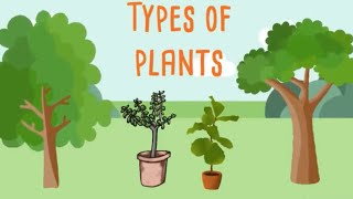 Types of plants for kids | Different types of plants