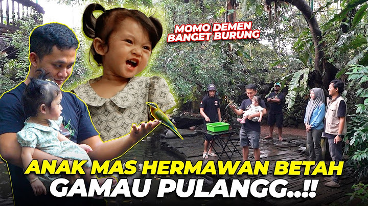 MAS HERMAWAN BELUM PERNAH KE AVIARY..?? ANAKNYA MAS HER BETAH, GAMAU PULANGGG