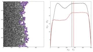 Local Load Sharing Fiber Bundle Model 500x500 8fps