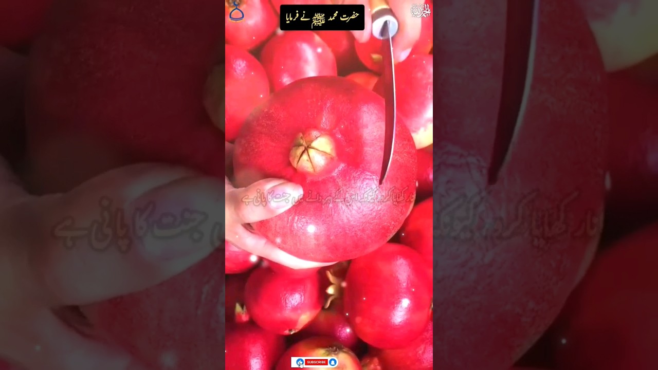 Islamic Hadees | Hadees Pak|Hadees Sharif| Hazrat Muhammad SAW| Prophet Saw| Hadees Mubarak | #islam