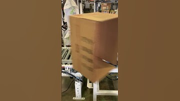 Emerald Automation ACP Automatic Case Positioner