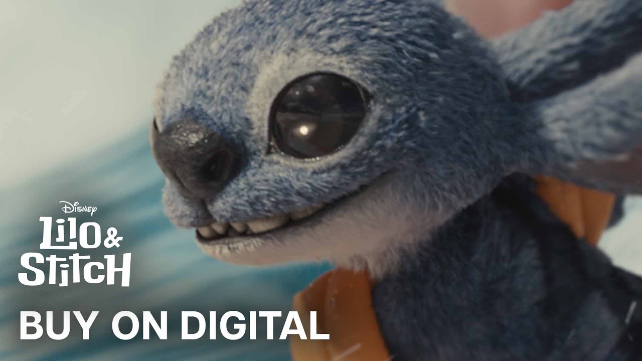 Fun For The Whole Family