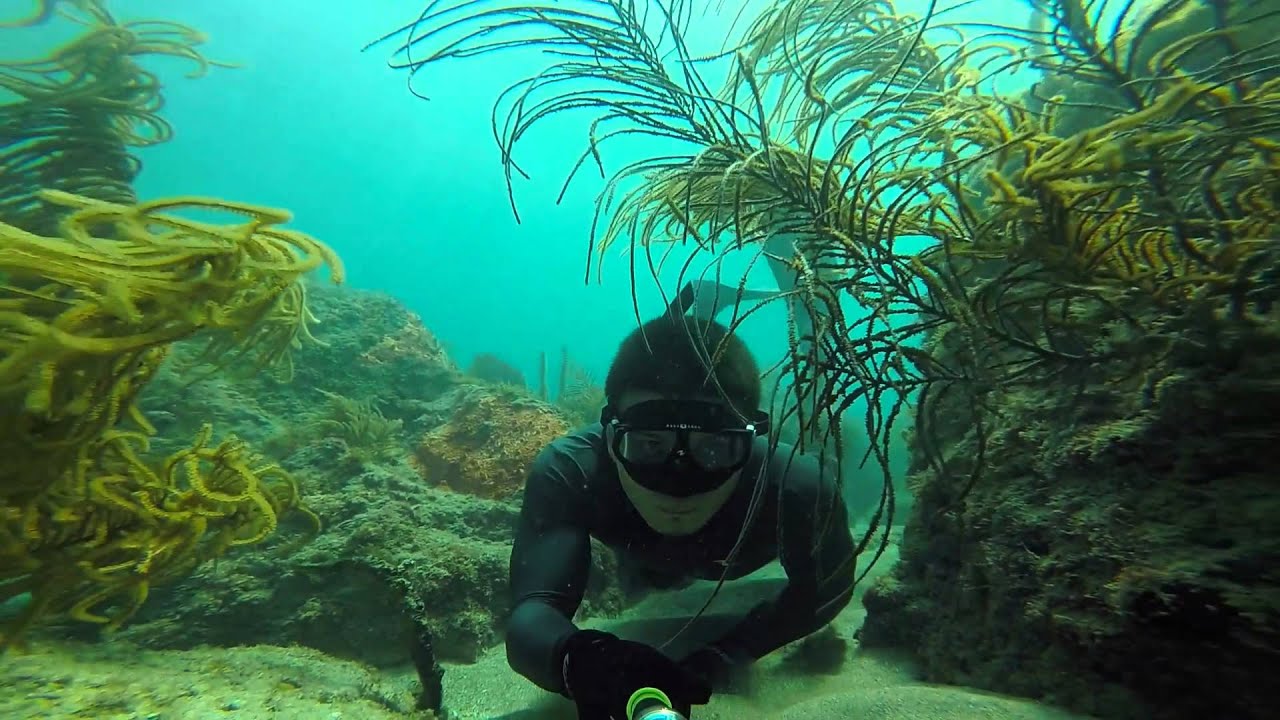 Perry St Rock Pile, Hollywood Beach