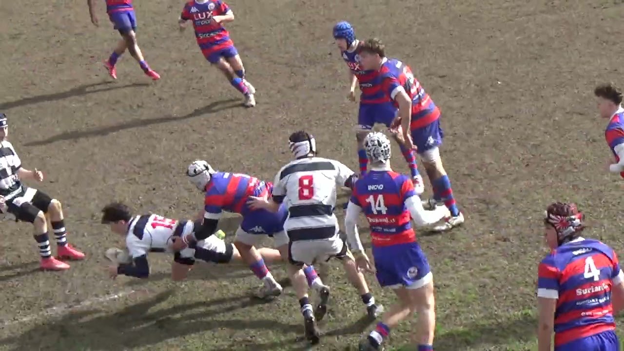 Interregionale 1: 22/02/2026 Rovigo vs Mogliano 19-7