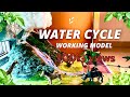 Water cycle working model science schoolproject watercycle nakulsahuart