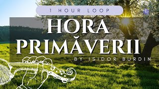 HORA PRIMĂVERII by Isidor Burdin | 1 HOUR VIOLIN LOOP