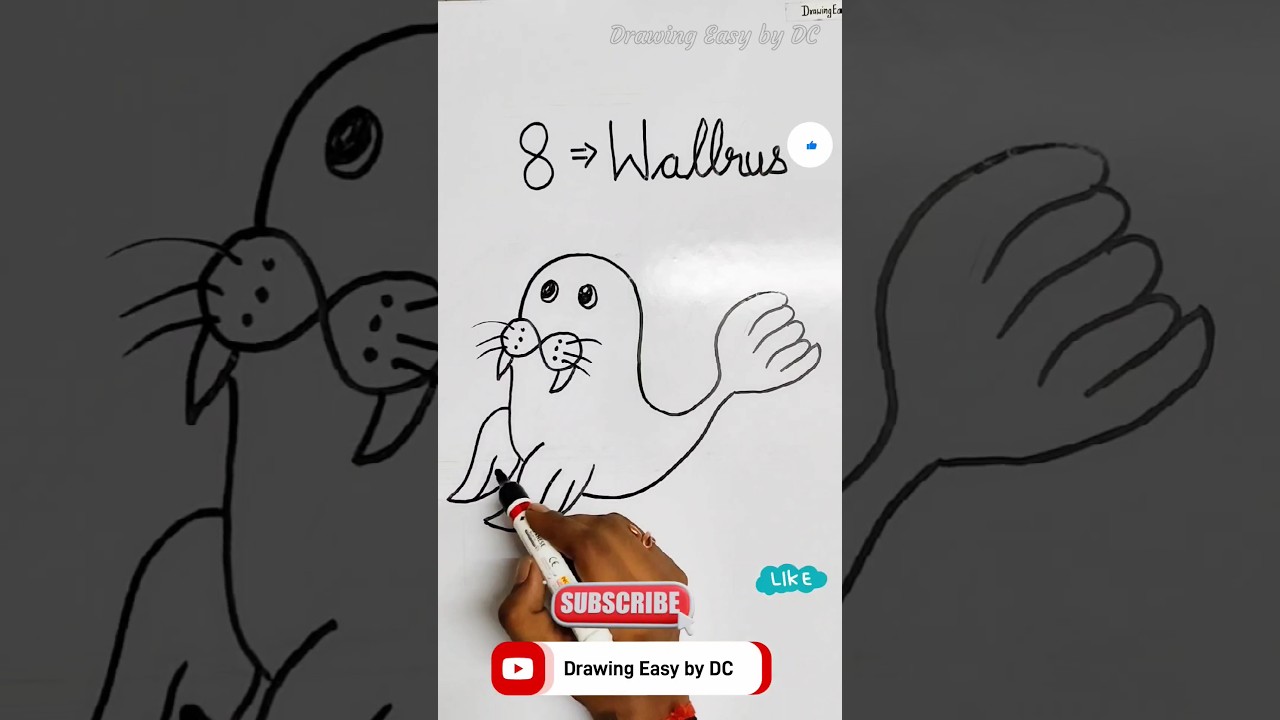 drawing from number 8 |How to draw a wallrus | walrus drawing easy