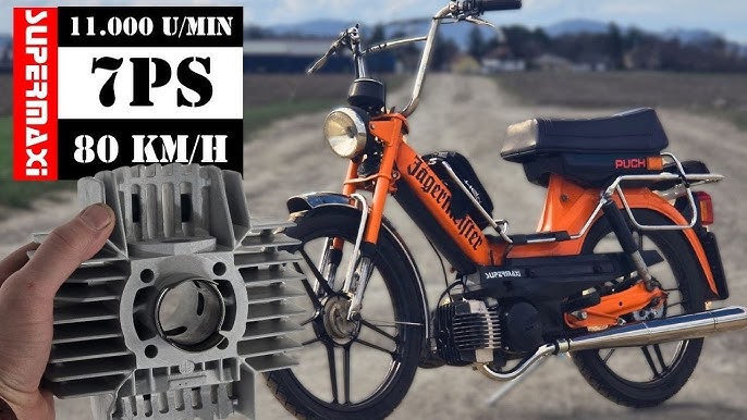 Velosipeddagi mushuk surati Velosipeddagi mushuk surati