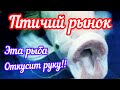 Птичий рынок