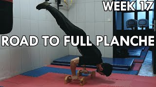 Progressing in Handstand Push-up Negatives & Some Chest to Wall Handstand Push-up Work