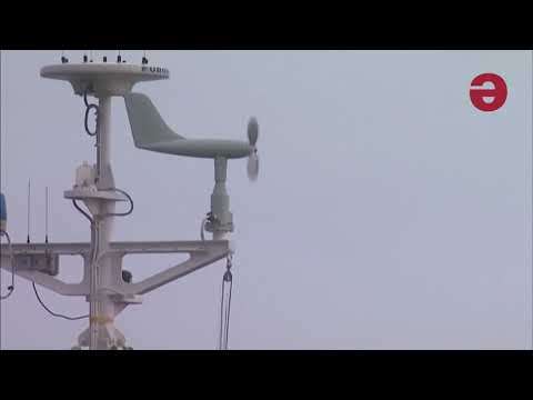 იაპონიაში ტროპიკული შტორმის გამო ერთი ადამიანი დაიღუპა და 49 დაშავდა