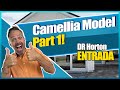 Camellia Model by DR Horton Part 1 | St Johns County New Construction Homes