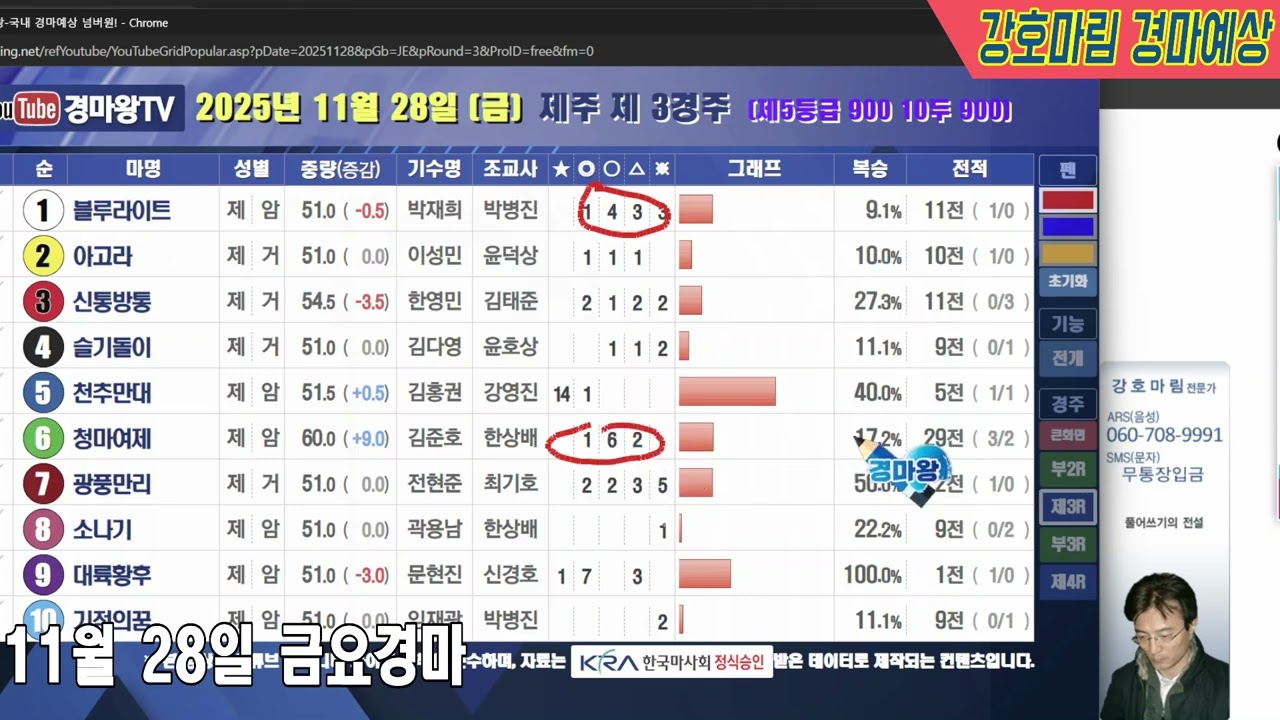 2025 년 11 월 28 일 금요경마예상