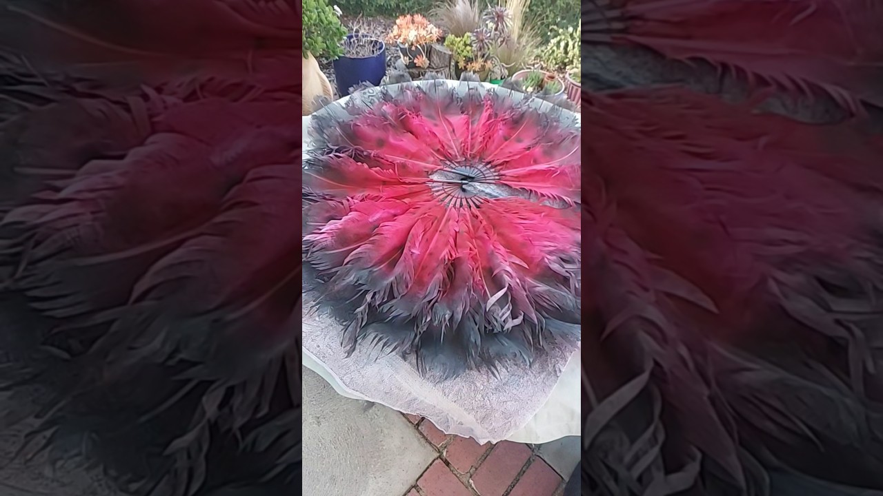 custom dyed Devotion Plumes