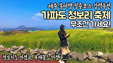 꼭 가야하는 