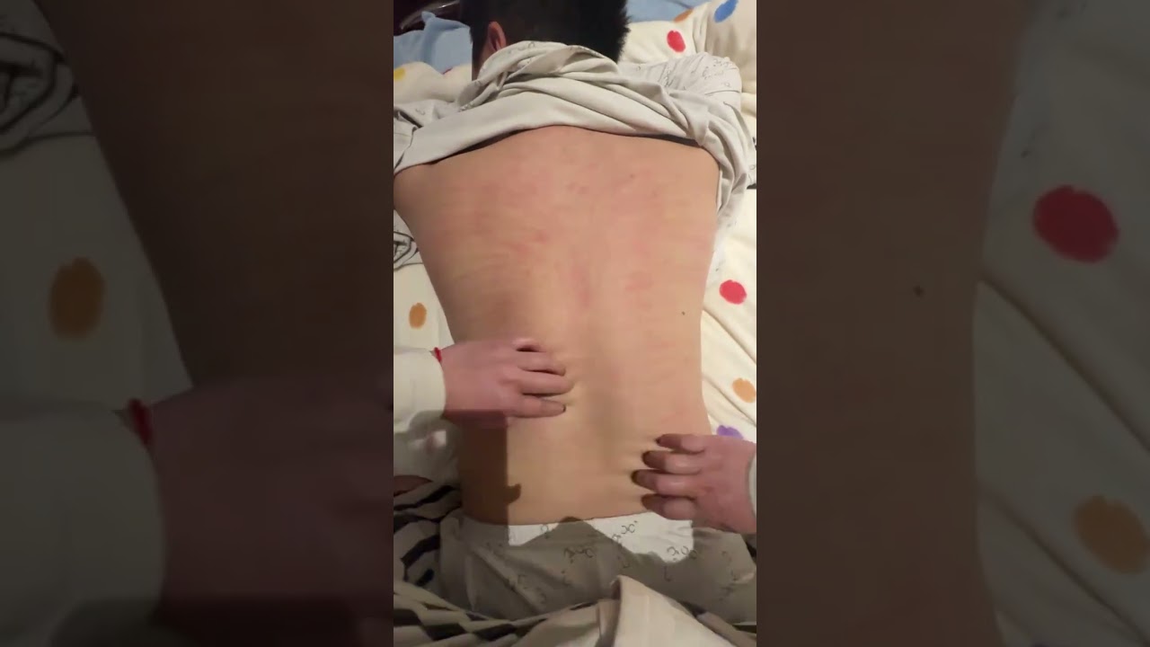 #Real Life Sharing officer#Lull to sleep#Scratch the back#Silent style#It s another night