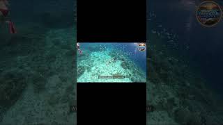 Seychelles The Islands You Absolutely Must Explore