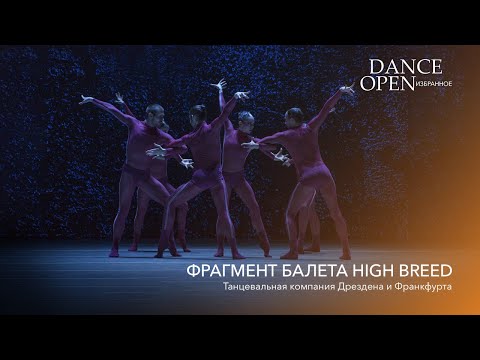 Фрагмент балета High Breed | Dance Open. Избранное