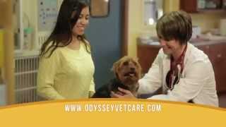 Odyssey Vet Care