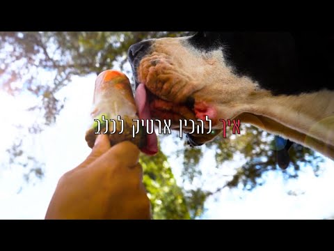 וִידֵאוֹ: גני כלבים: טובים או רעים לכלבים ובעליהם?