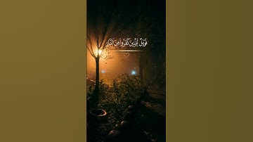 قرآن كريم بصوت جميل|القارئ بيشه وا قادر الكردي