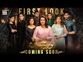 First look  noor jahan  kubra khan  ali rehman  ary digital