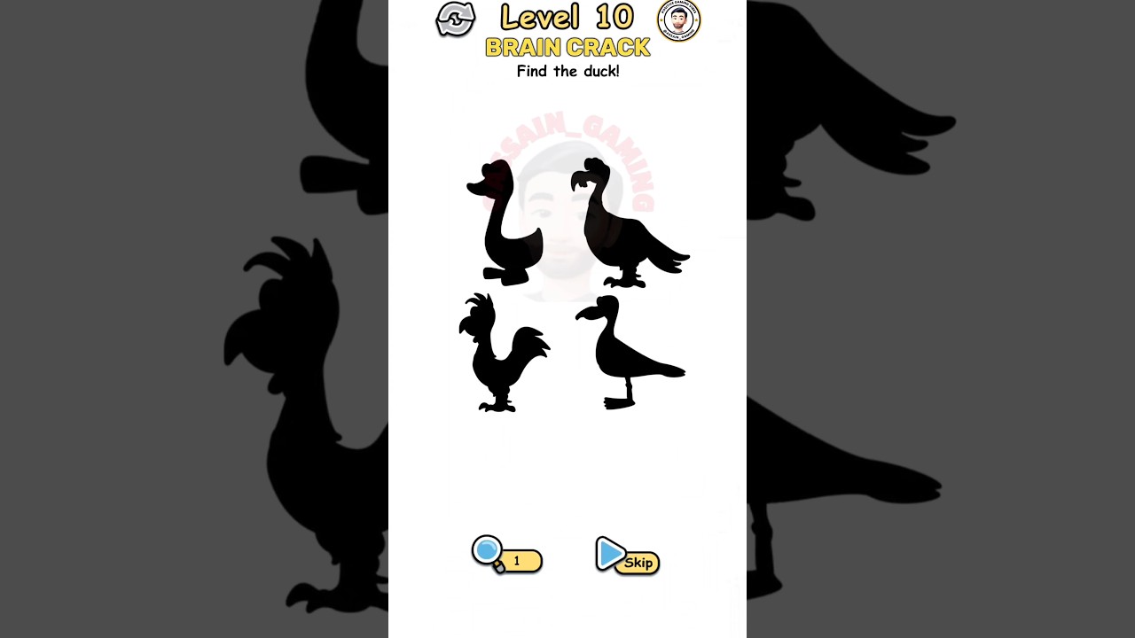 Brain Crack Level 10 