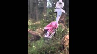 Logging, Volvo 3329FM, Satco 630 Felling Head, Treefelling