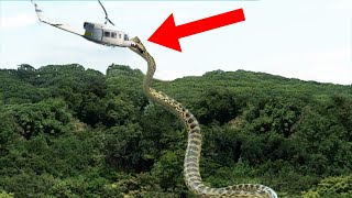 10 Most Terrifying Creatures You'll Be Glad Are Extinct!