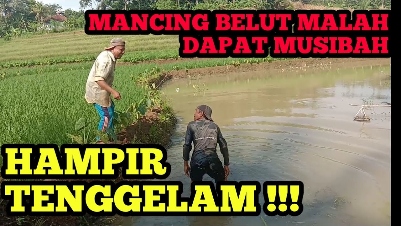 MANCING BELUT MALAH DAPAT MUSIBAH || SKETSA LUCU || VIDEO LUCU