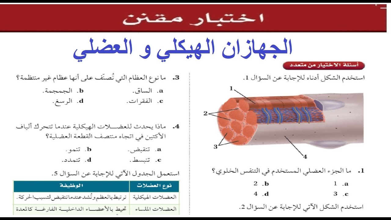 حل الاختبار المفنن باب ( الجهازان الهيكلي و العضلي )