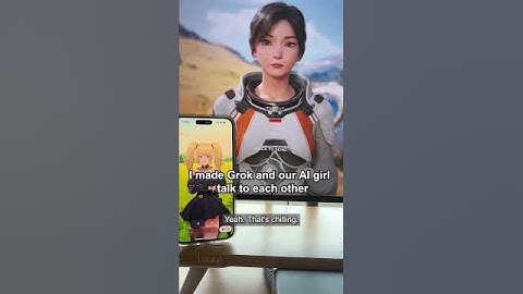 I made Grok and an AI girl talk to each other