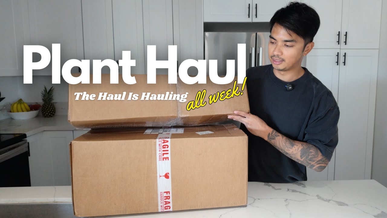 My Biggest Plant Haul in a While | Multiple Packages, New Favorites