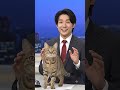 【衝撃】真面目なニュース番組に猫が乱入した結果が可愛すぎるwww