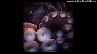Eftn - The Tidedetails