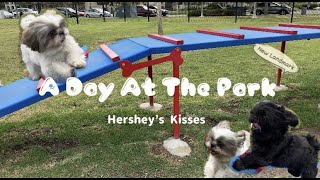 Dogs Go To The Park | A Day At The Park | Hershey's Kisses Vlog #5